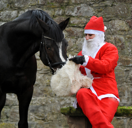 Der Nikolaus und Saint Cyr im Trakehner Gestt Hmelschenburg - Foto: Beate Langels