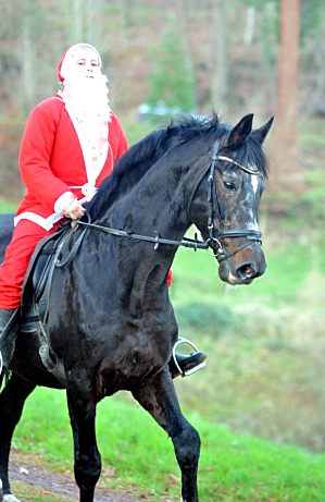 Der Hmelschenburger Trakehner Hengst Exclusiv und der Nikolaus - Foto: Beate Langels - Trakehner Gestt Hmelschenburg