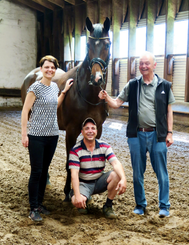 Der 4jhrige Grand Cyr   im Trakehner Gestt Hmelschenburg - Foto: privat