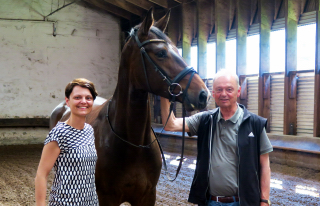 Der 4jhrige Grand Cyr   im Trakehner Gestt Hmelschenburg - Foto: privat