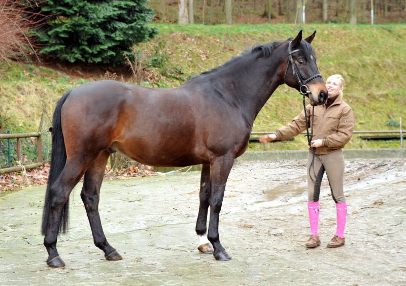 Sputnik von Meraldik u.d. Schwalbenflair von Exclusiv - Foto: Beate Langels