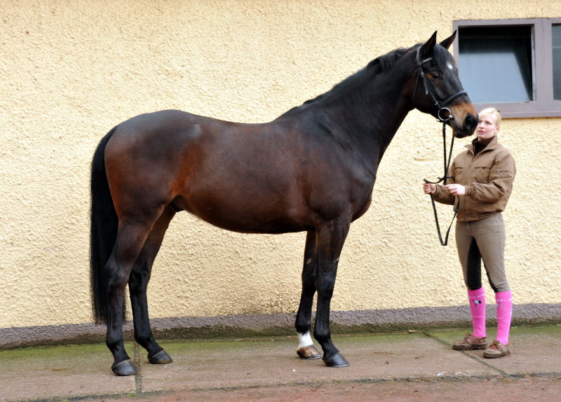Sputnik von Meraldik u.d. Schwalbenflair von Exclusiv - Foto: Beate Langels