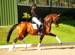 HLP Sieger und Reservesieger der K�rung High Motion v. Saint C<r