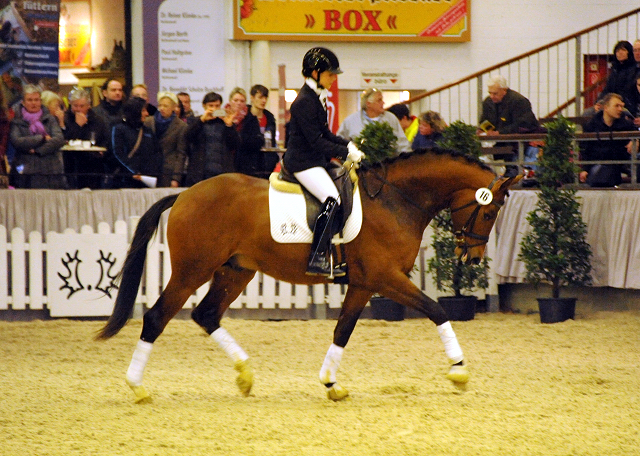 High Motion v.  Saint Cyr v. Kostolany - Foto: Beate Langels - Trakehner Gestt Hmelschenburg