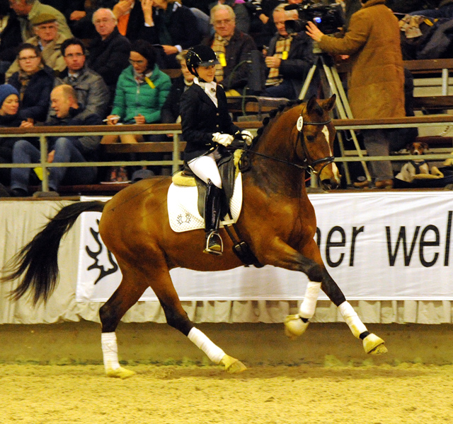 High Motion v.  Saint Cyr v. Kostolany - Foto: Beate Langels - Trakehner Gestt Hmelschenburg