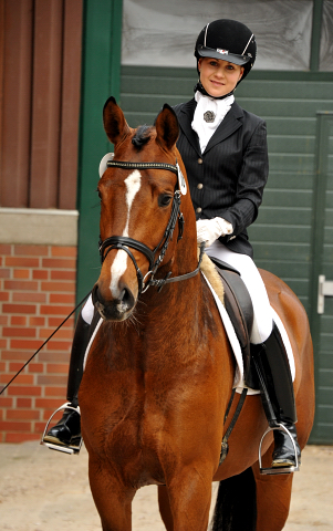 High Motion v.  Saint Cyr v. Kostolany - Foto: Beate Langels - Trakehner Gestt Hmelschenburg