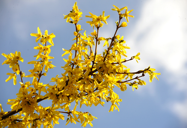 7. April 2016 - Gestüt Hämelschenburg