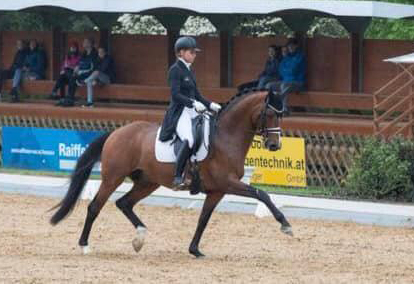 07.05.2022  High Motion siegt beim FEI Prix St. Georges in Achleiten - Trakehner Gestt Hmelschenburg - 
Foto: Beate Langels