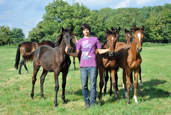 Unsere Fohlen sind sehr verschmust - hier mit Richard - Foto: Beate Langels - Trakehner Gestt Hmelschenburg