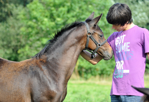 Richard mit Stutfohlen von Totilas u.d. Pr.u.StPrSt. Schwalbenfeder - im Gestt Hmelschenburg - Foto: Beate Langels - Trakehner Gestt Hmelschenburg