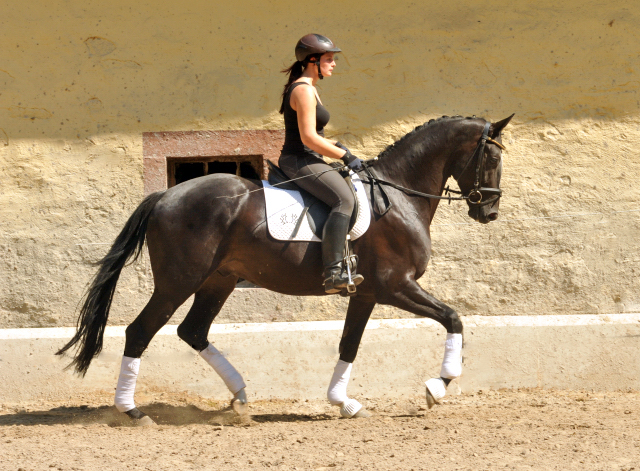 Kurz angeritten - Gestt Hmelschenburg, Foto: Beate Langels, 
Trakehner Gestt Hmelschenburg - Beate Langels