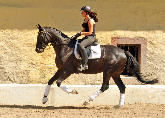 Kurz angeritten - Gestt Hmelschenburg, Foto: Beate Langels, 
Trakehner Gestt Hmelschenburg - Beate Langels