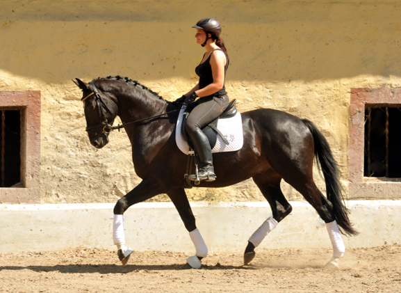 Kurz angeritten - Gestt Hmelschenburg, Foto: Beate Langels, 
Trakehner Gestt Hmelschenburg - Beate Langels