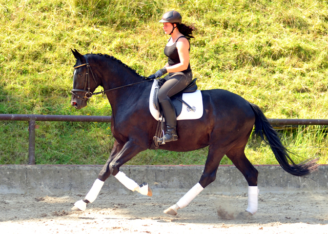 Kurz angeritten - Gestt Hmelschenburg, Foto: Beate Langels, 
Trakehner Gestt Hmelschenburg - Beate Langels