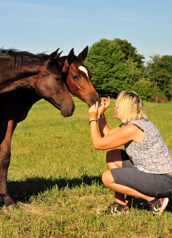 Valentine und Gabbana v. High Motion Gestüt Hämelschenburg - copyright by Beate Langels