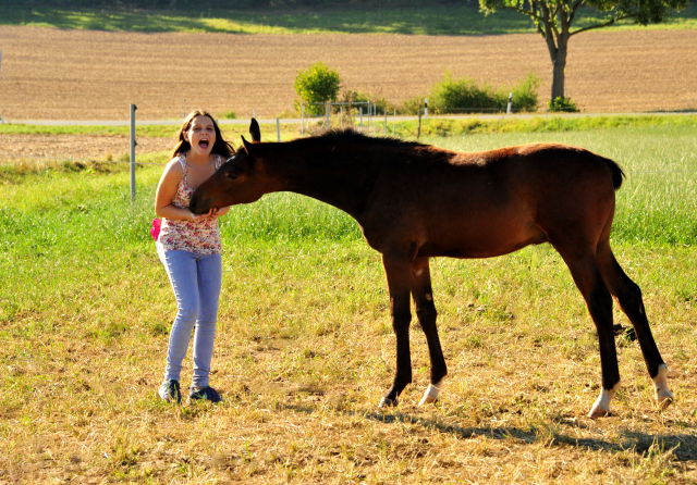 Leni mit Hengstfohlen a.d. Thirica - Gestüt Hämelschenburg - copyright by Beate Langels