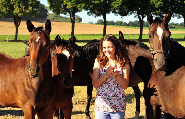 Stuten und Fohlen im Gestüt Hämelschenburg - copyright by Beate Langels