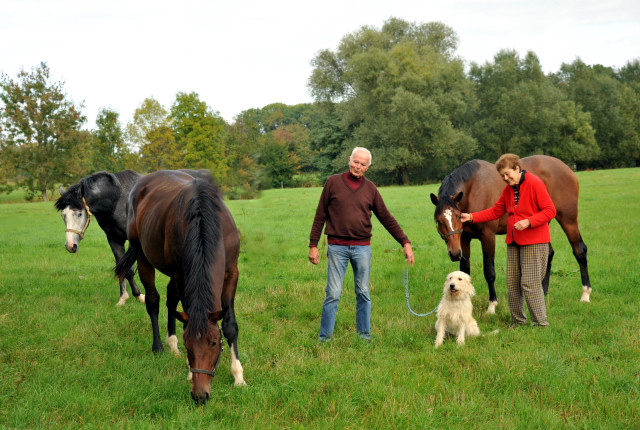 Otto und Jutta Langels mit unseren 2jhrigen Wallachen - Hmelschenburg im Oktober 2013, Foto: Beate Langels, Trakehner Gestt Hmelschenburg - Beate Langels