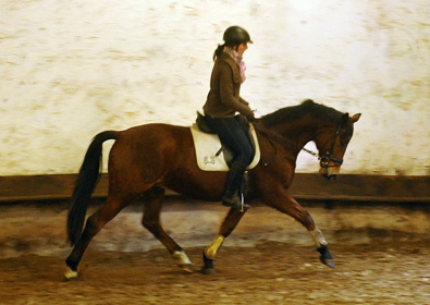 Zauberlehrling v. Showmaster u.d. Zaubermelodie v. Tuareg - Mahagoni