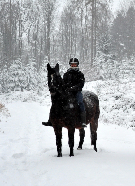 Elitestute Schwalbenfeder und Pia - 8. Februar 2021 - Foto: Beate Langels - 
Trakehner Gestt Hmelschenburg