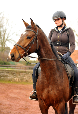 4jhriger Trakehner Wallach von Saint Cyr u.d. Pr. u. St.Pr.St. Guendalina von Red Patrick xx