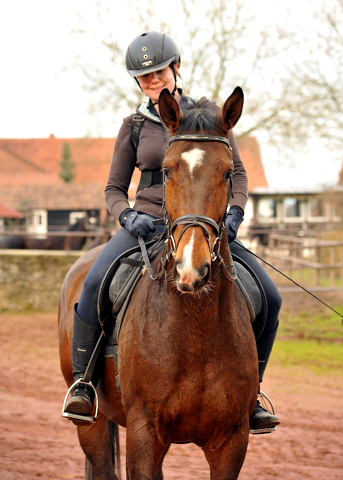 4jhriger Trakehner Wallach von Saint Cyr u.d. Pr. u. St.Pr.St. Guendalina von Red Patrick xx