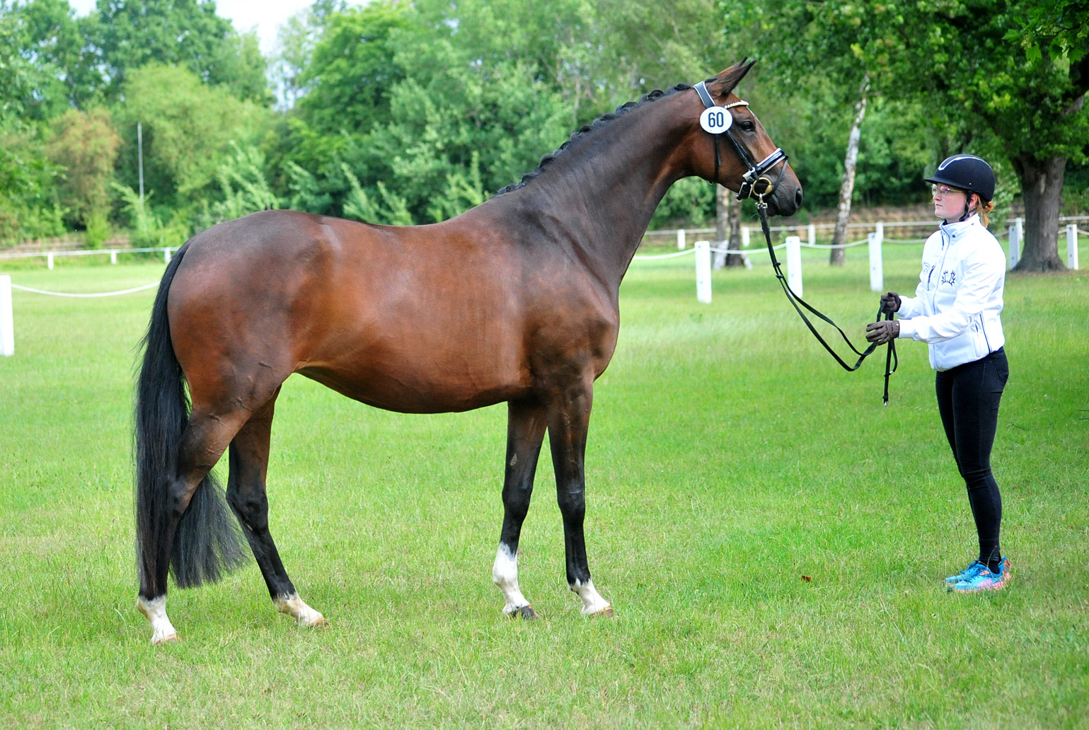 Karidia - Trakehner Prmienstute von Saint Cyr u.d. Pr.St. Karida v. Oliver Twist - Foto: Beate Langels - Trakehner Gestt Hmelschenburg