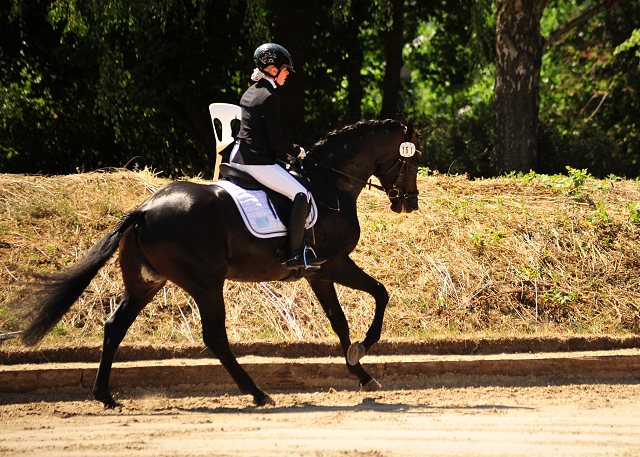 High Dream von Saint Cyr u.d. Hanna von Summertime - Foto: Beate Langels