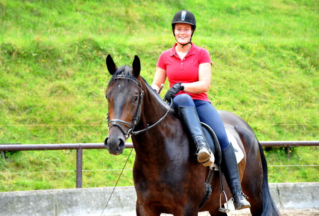 3j�hriger Hannoveraner Wallach v. Dancier x Natiello xx , Foto: Beate Langels