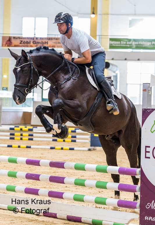 Pr�mienhengst Sutherland erfolgreich leistungsgepr�ft - Trakehner Gest�t H�melschenburg  - Foto: Beate Langels