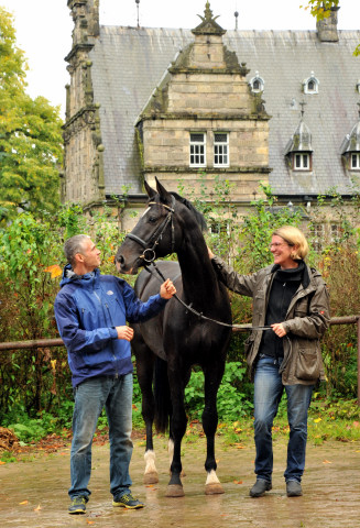 Zweijhriger Trakehner von Summertime u.d. Thirica v. Enrico Caruso - Foto: Beate Langels