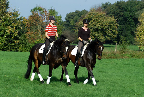 Trakehner Gestt Hmelschenburg - Foto: Beate Langels