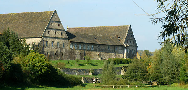 Trakehner Gestt Hmelschenburg - Foto: Beate Langels