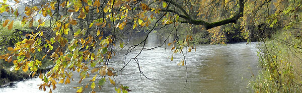 Hmelschenburg im Herbst 2009, Foto: Beate Langels