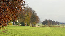 Herbst 2009 im Trakehner Gestüt Hämelschenburg