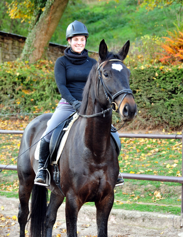 3jhrige Trakehner Stute von Kostolany u.d. Kaiserspiel v. Exclusiv, 
Gestt Hmelschenburg - Beate Langels