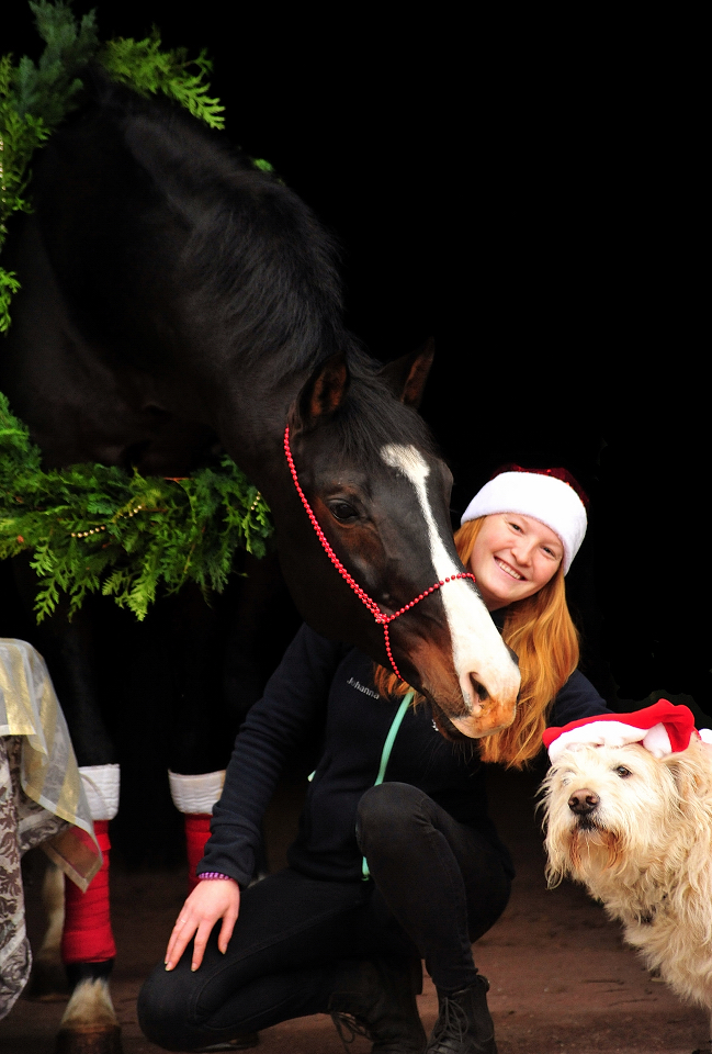 2. Advent 2019 Shavalou v. Freudenfest in Hmelschenburg - Trakehner Gestt Hmelschenburg - Beate Langels