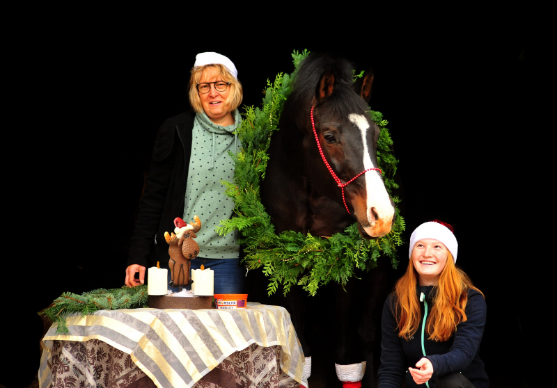 2. Advent 2019 Shavalou v. Freudenfest in Hmelschenburg - Trakehner Gestt Hmelschenburg - Beate Langels