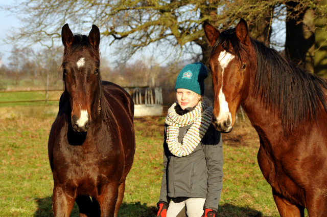 9. Januar 2016  im
Trakehner Gestt Hmelschenburg