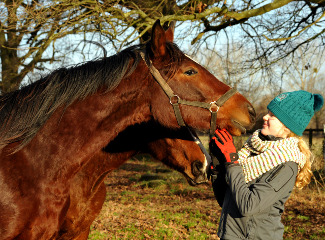 Die Gruppe unserer 2jhrigen Hengste - 9. Januar 2016  im
Trakehner Gestt Hmelschenburg