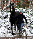 Impressionen vom Januar 2021 - Trakehner Gestt Hmelschenburg  - Foto: Beate Langels