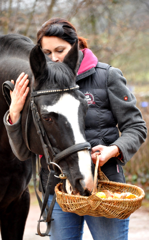 20. Geburtstag von ALTER FRITZ v. Chardonnay u.d. StPrSt. Agatha Christie v. Kokoschka - 
Foto: Beate Langels - Trakehner Gestt Hmelschenburg