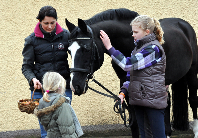 20. Geburtstag von ALTER FRITZ v. Chardonnay u.d. StPrSt. Agatha Christie v. Kokoschka - 
Foto: Beate Langels - Trakehner Gestt Hmelschenburg