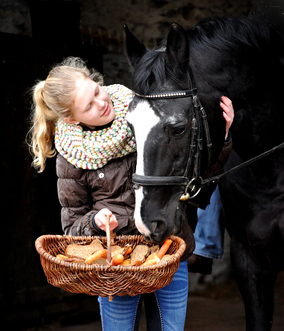 9. Februar 2016  - Alter Fritz wird 21 Jahre alt -
Trakehner Gestt Hmelschenburg