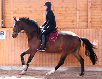 Galileo von Exclusiv - Maestro - Kostolany - Karon, Foto: Dietmar Habert