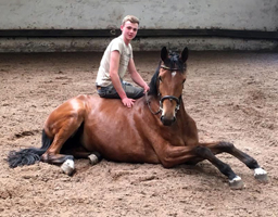 Trakehner Stute von Honor du Soir u.d. Pr.u.StPrSt. Karena v. Freudenfest - Foto Beate Langels - Gestt Hmelschenburg