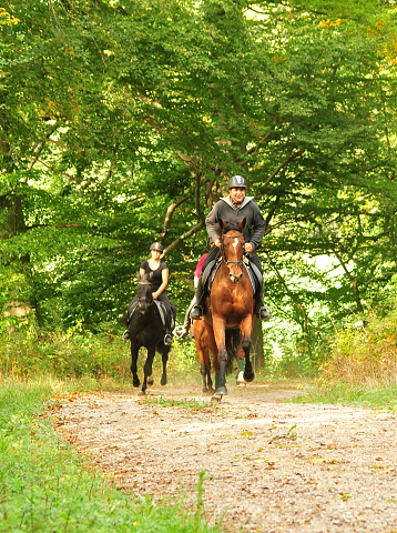 Ausritt im Oktober - Trakehner Gestt Hmelschenburg - Beate Langels