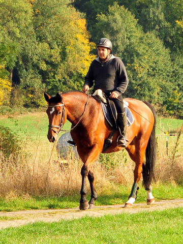 Ausritt im Oktober - Trakehner Gestt Hmelschenburg - Foto: Beate Langels