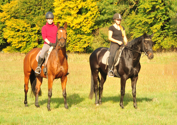 Barinja - Trakehner Gestt Hmelschenburg - Foto: Beate Langels