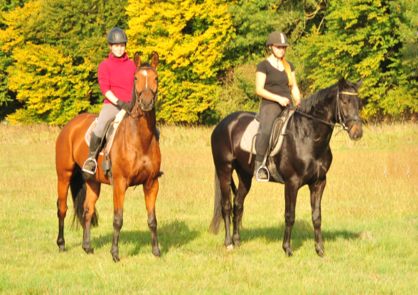 Barinja - Trakehner Gestt Hmelschenburg - Foto: Beate Langels